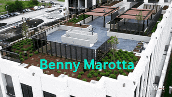 Benny Marotta GIF