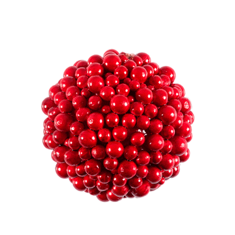 Cantianavidad Sticker by Cantia