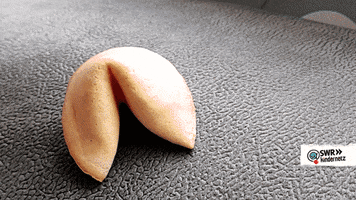 Fortune Cookie GIFs - Get the best GIF on GIPHY