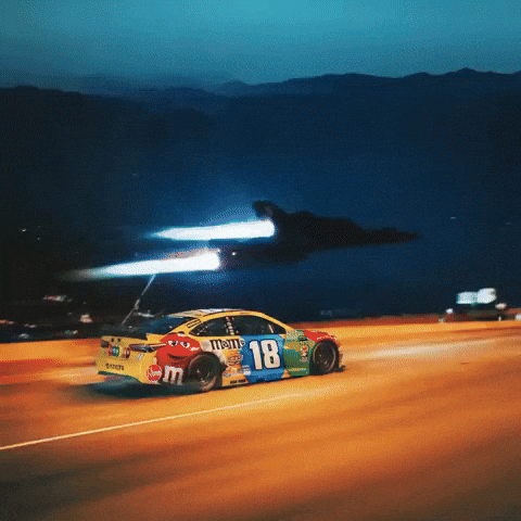 Winning Kyle Busch GIF