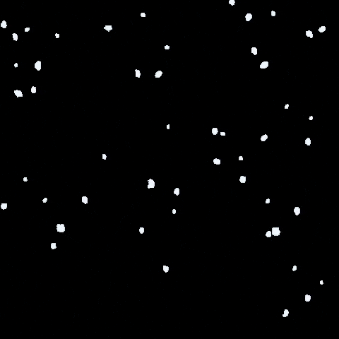 Heikki GIF by Le Jardin d'Acclimatation