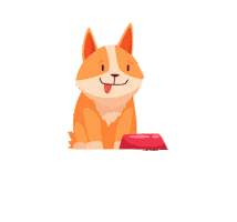 Cat Dog Sticker by Affinity