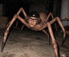 Spider-Man Marvel GIF by Jan Metternich