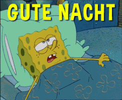 Gute Nacht Cartoon GIF