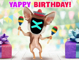 Happy Birthday Dog GIF by MultiversX
