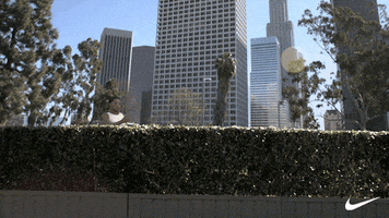 Jump Fly GIF by Nike