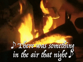 campfire fernando GIF by ABBA