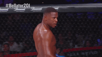 excited martial arts GIF by Bellator