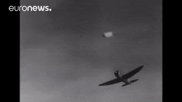 black and white plane GIF by euronews