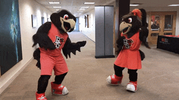 bgsu falcons dancing GIF by Bowling Green State University