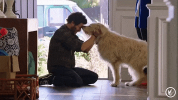 Dog Love GIF by Regal