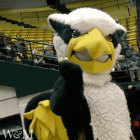 Happy College GIF by William & Mary