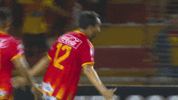 200.gif?cid=fc005b087d31753dc6686175069b6d24316adad197bb858b&rid=200.gif&ct=g