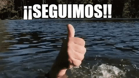 giphy.gif