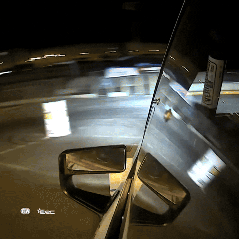 Donut Driving GIF by FIA European Rally Championship