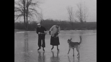 Best Friends Winter GIF by US National Archives
