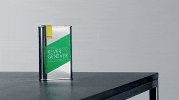 Drunk Lets Go GIF by Kever Genever