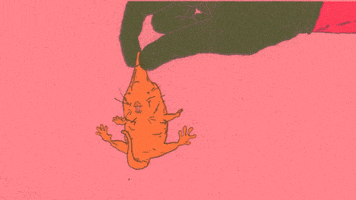 mole rat animation GIF by Massive Science
