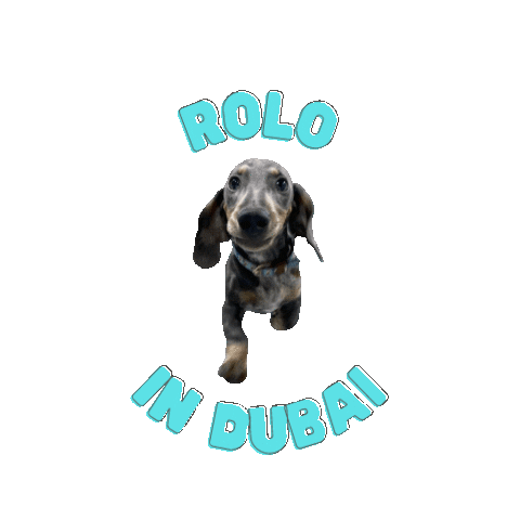 Dogs Love Sticker by Soul Surf