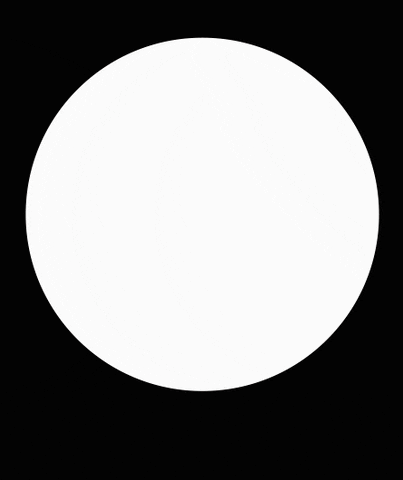 World Sompojapan GIF by Sompo Japan Sigorta