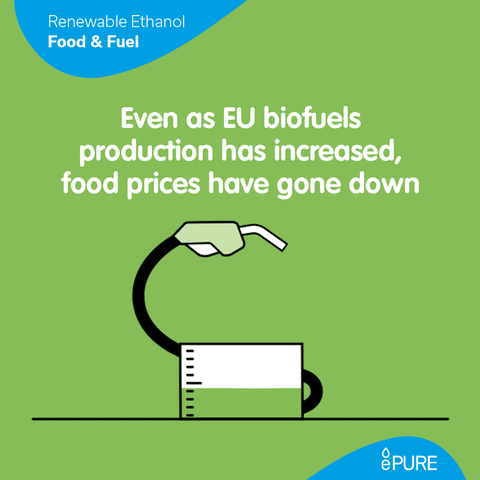 Renewable Energy GIF
