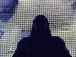 Triple H Wrestling GIF by WWE
