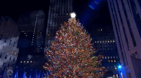 Christmas Tree GIF by NBC