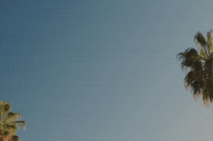 Hello GIF