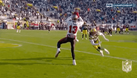 Mike Evans Football GIF by NFL