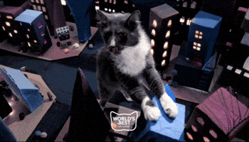 Cat Love Worlds Best GIF by Worlds Best Cat Litter