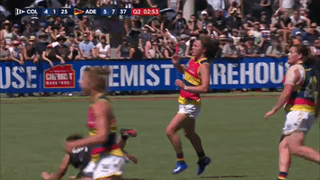 celebrate GIF by Adelaide Crows