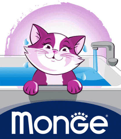 Pet Cane GIF by Mongepet