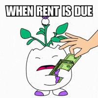 Stealing No Money GIF by Magic Eden