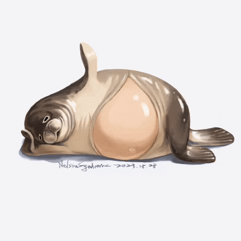 Seal GIF
