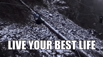 Hardcore Zipline GIF by Aequilibrium