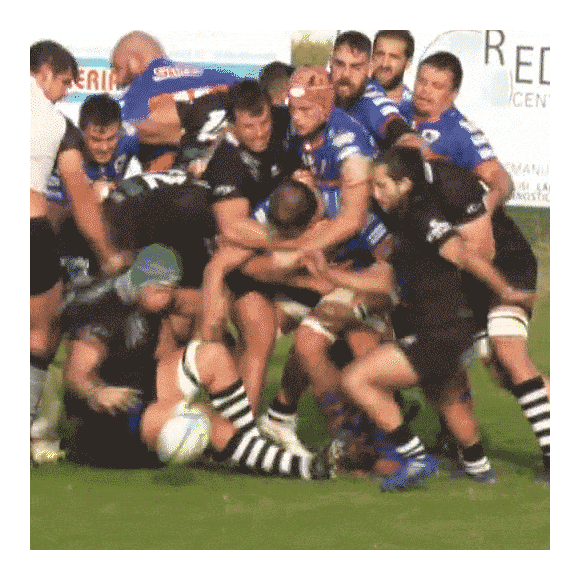 Celebration Try GIF by Rugby Lyons 1963
