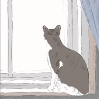 Cat Illustration GIF by molehill