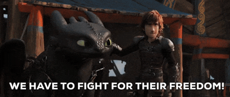 fight freedom GIF by How To Train Your Dragon