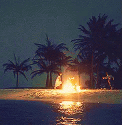 Island Bonfire GIF - Find & Share on GIPHY