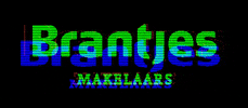 Makelaar Te Koop GIF by Bambuu