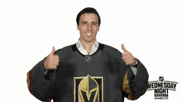 Vegas Golden Knights Hockey GIF by NHL on NBC Sports