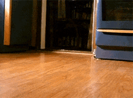 Puppy Puppies GIF by Rover.com