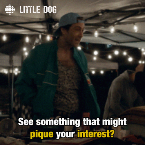 pique little dog GIF by CBC