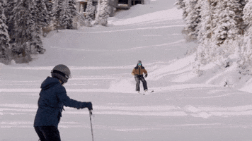 skiing winterfest GIF by Hallmark Channel