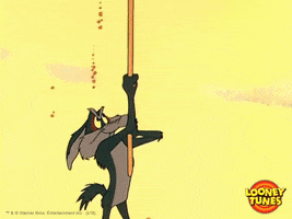 Wile E Coyote Omg GIF by Looney Tunes