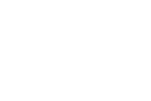 De Witte Leeuw Sticker