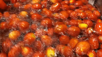 fruit tomato GIF by UCDavis