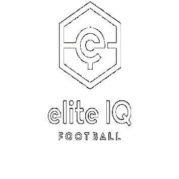 Elite IQ Football Sticker