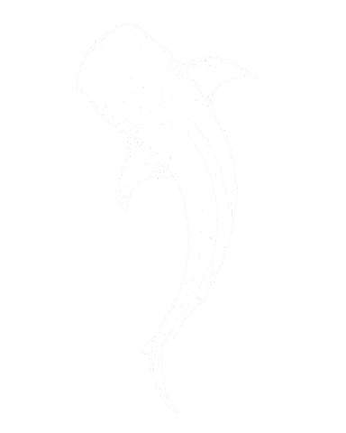 Season Paradise Sticker