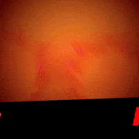 Die Hard Pie GIF by GIPHY Studios Originals